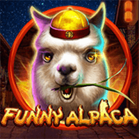 Funny Alpaca