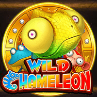 Wild Chameleon