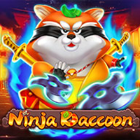Ninja Raccoon