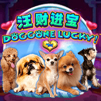 Doggone Lucky