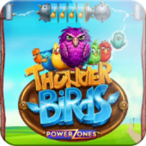 Power Zones: Thunder Birds